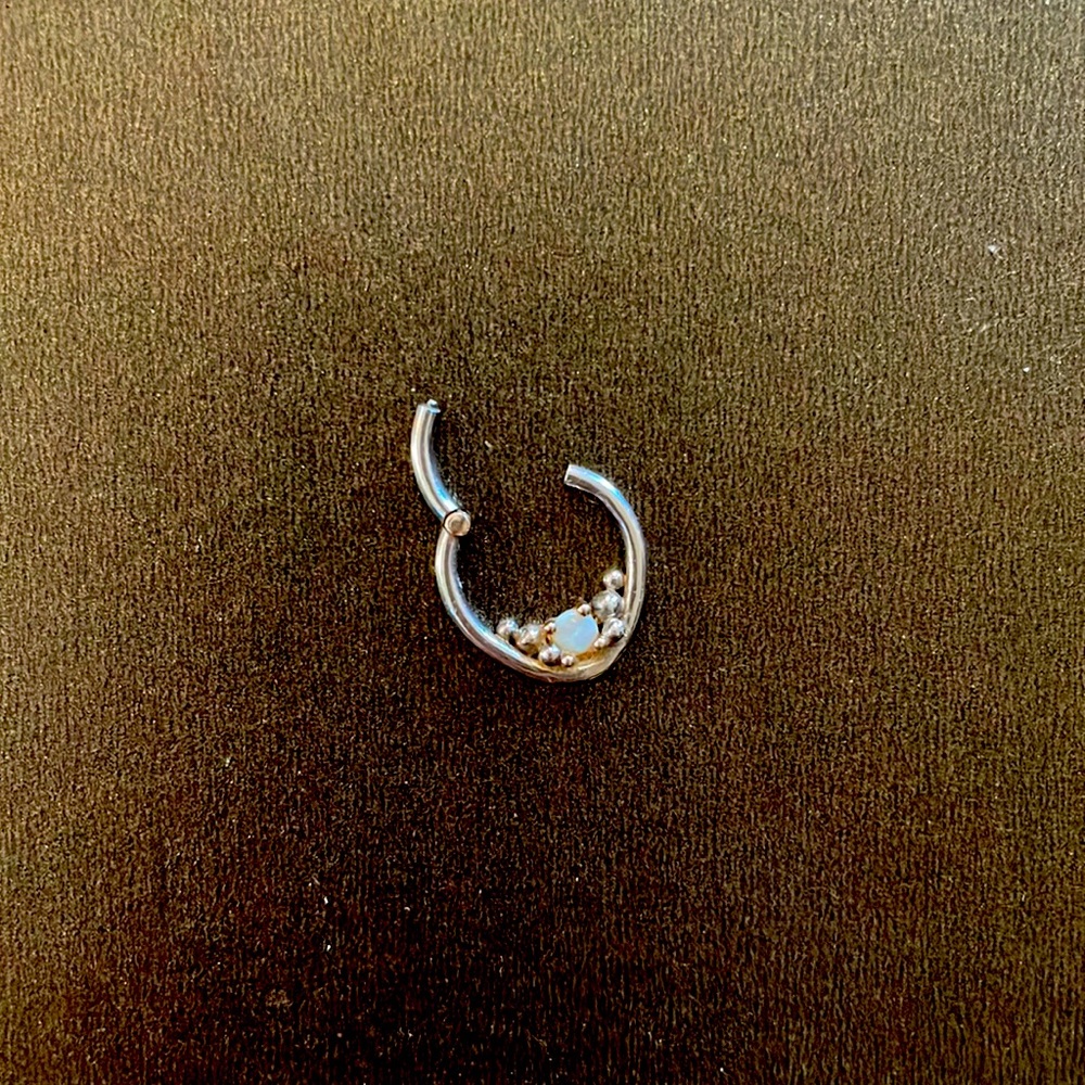 Scylla (rebranded to Stargazer) clicker/hinged septum ring.